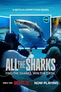  Все акулы 2025